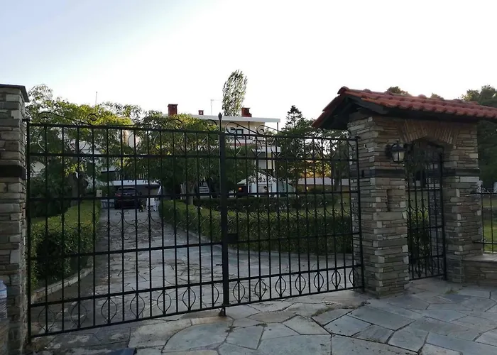 Seagull Chalkidiki *