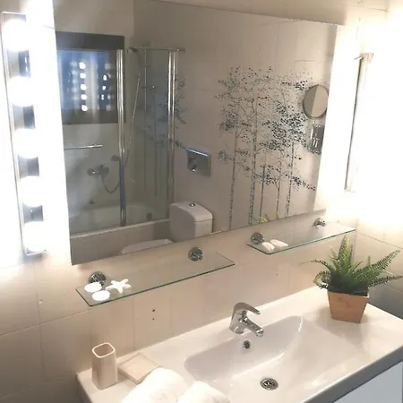 Seagull Chalkidiki *