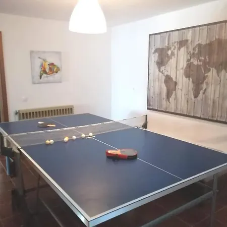 Seagull Chalkidiki Pefkochori