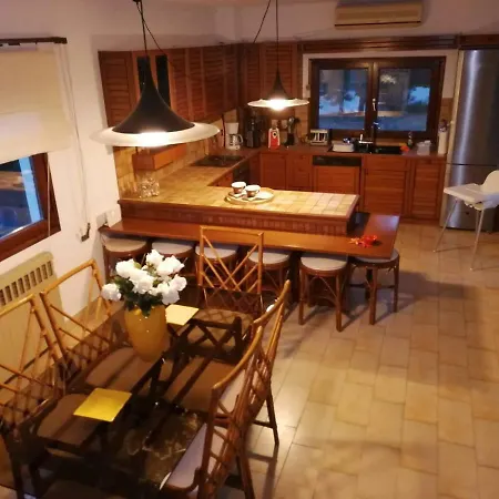 Villa Seagull Chalkidiki