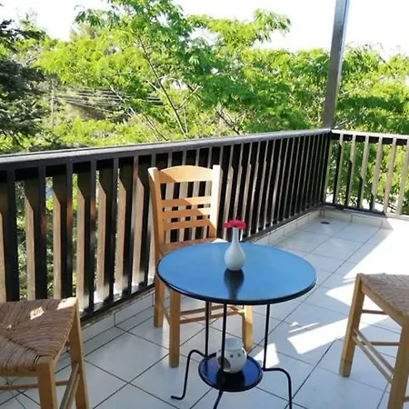 Seagull Chalkidiki بيفكوهوري