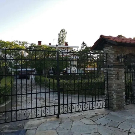 Seagull Chalkidiki *