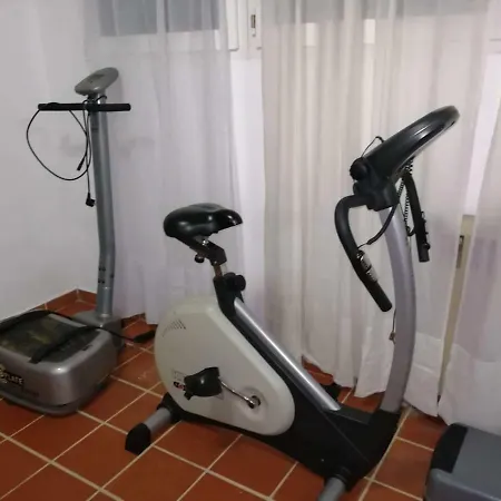 Seagull Chalkidiki Pefkochori