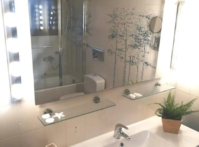 Seagull Chalkidiki *