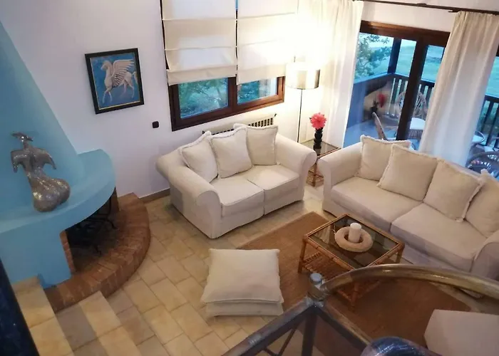 Seagull Chalkidiki *