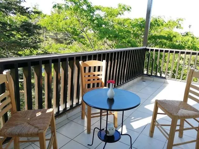 Seagull Chalkidiki Pefkochori