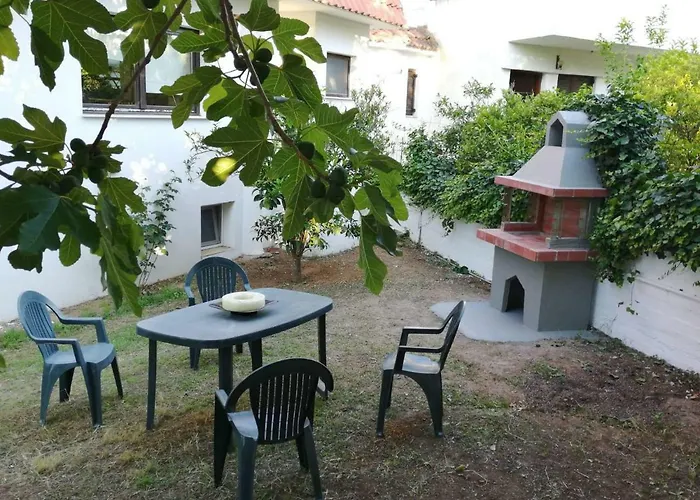 Seagull Chalkidiki * Pefkochori