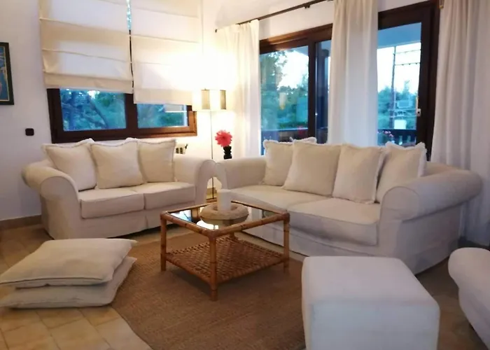 Seagull Chalkidiki Pefkochori