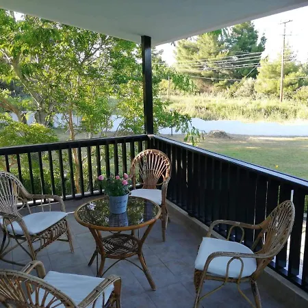 Seagull Chalkidiki * Pefkochori