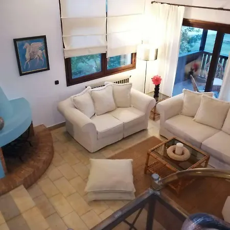 Seagull Chalkidiki *