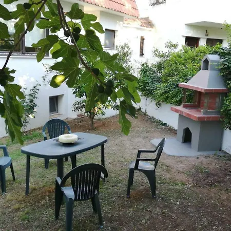 Seagull Chalkidiki * Pefkochori