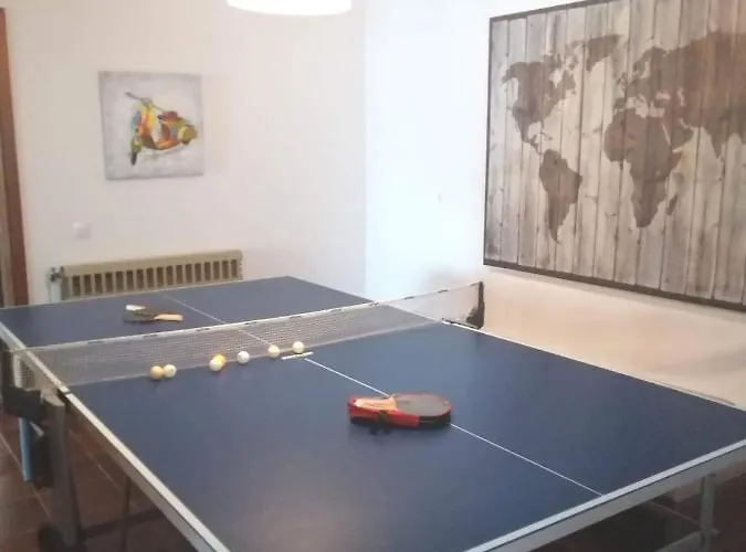 Seagull Chalkidiki Pefkochori