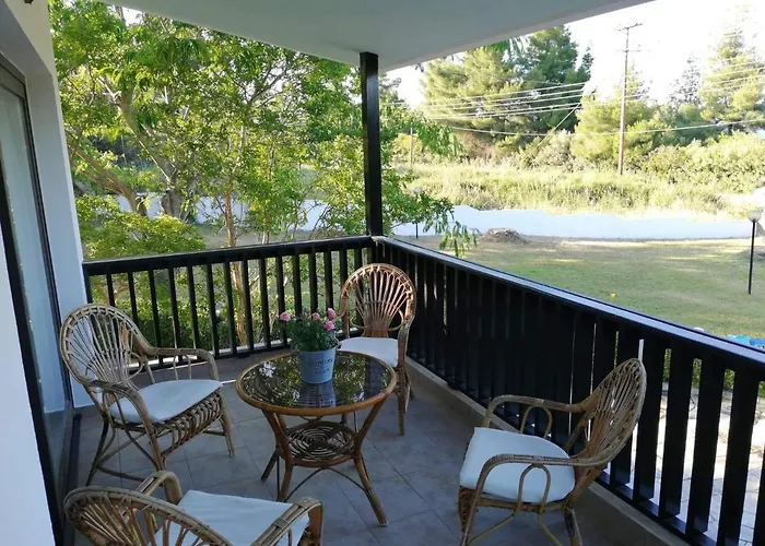 Seagull Chalkidiki * Pefkochori