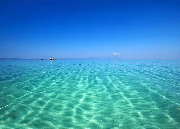 Seagull Chalkidiki *