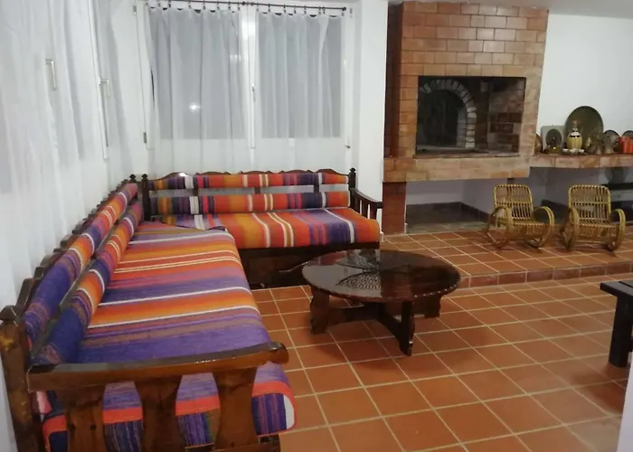 Seagull Chalkidiki * Pefkochori