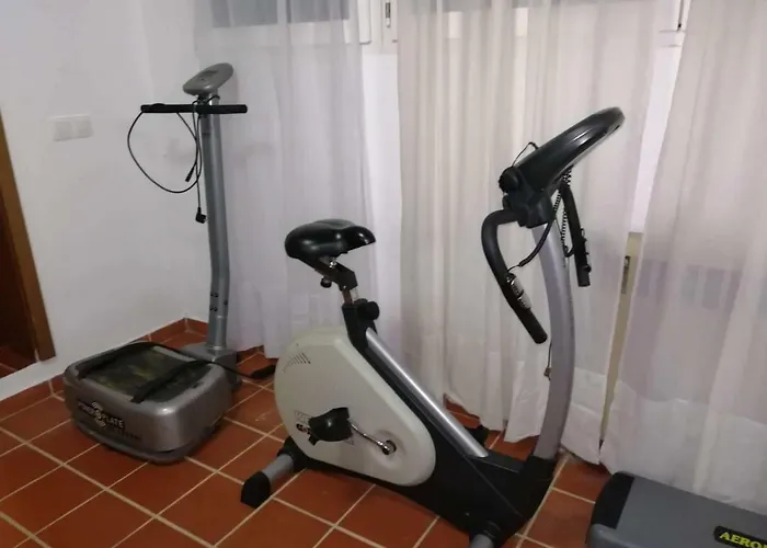 Seagull Chalkidiki Pefkochori